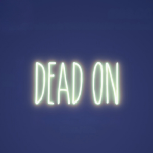 LED NI SIGNS - DEAD ON